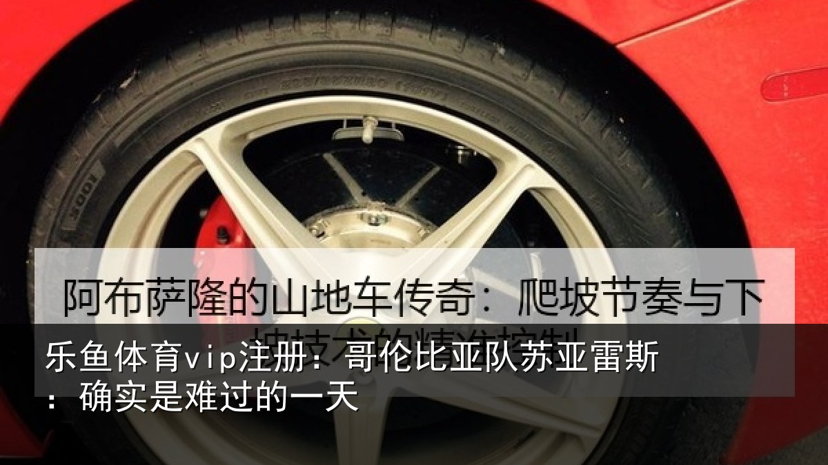 乐鱼体育vip注册:哥伦比亚队苏亚雷斯相关情况